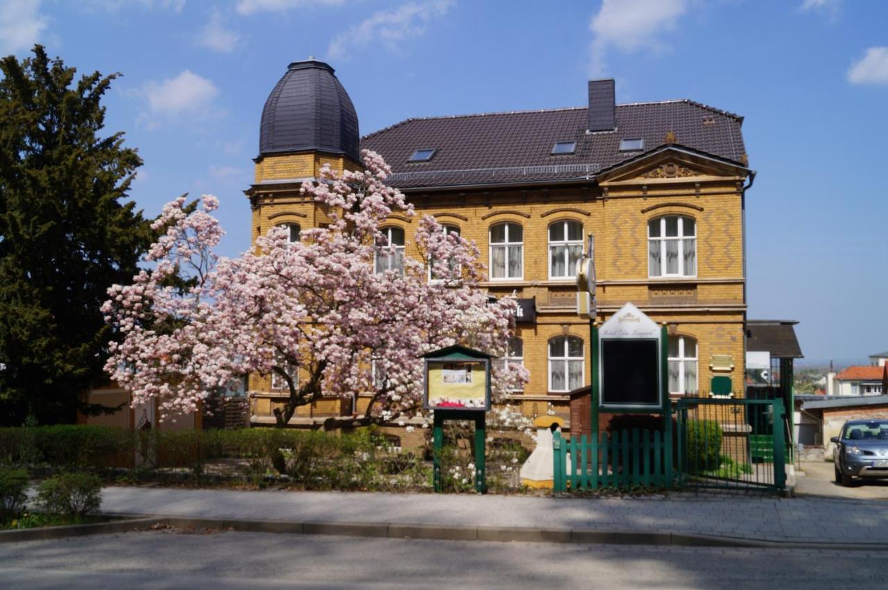 Hotel Am Kurpark Bad Suderode Exterior foto