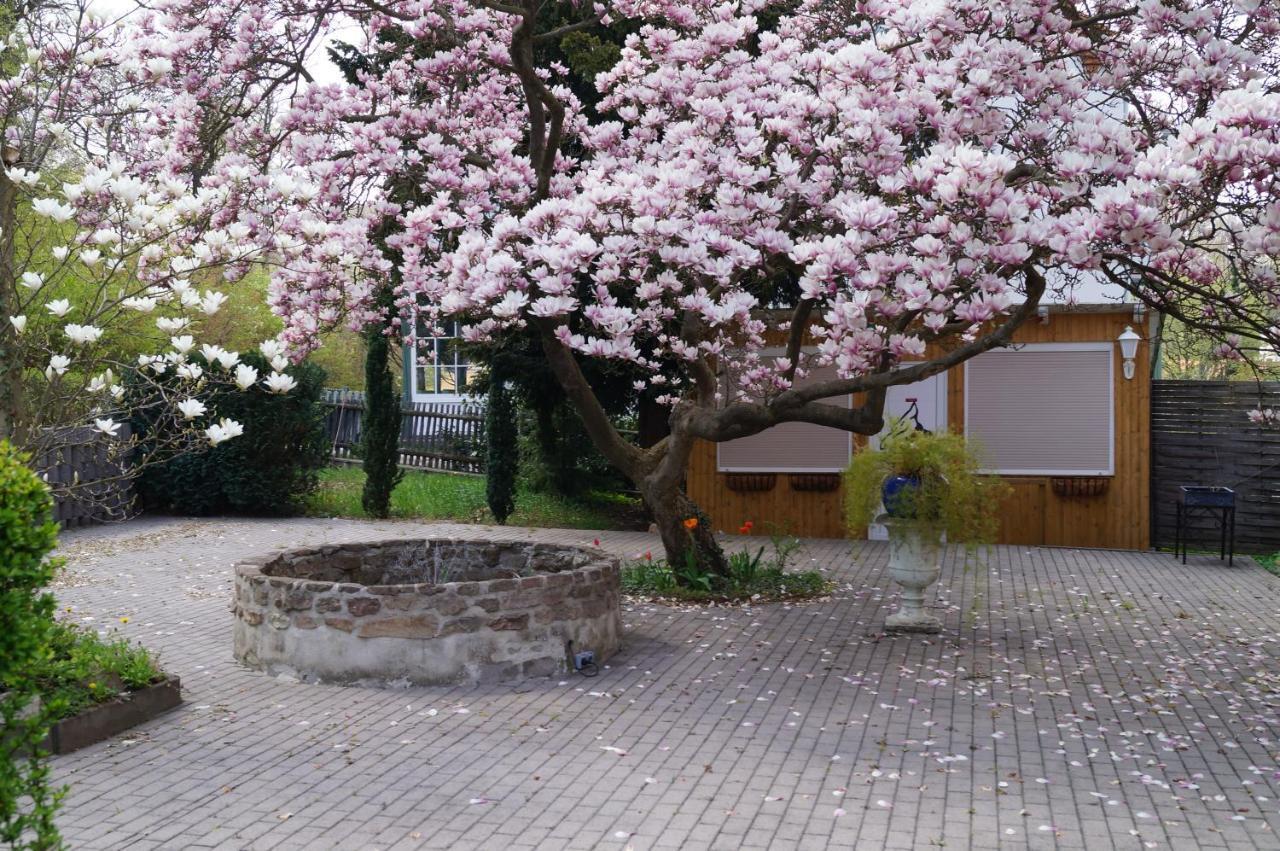 Hotel Am Kurpark Bad Suderode Exterior foto